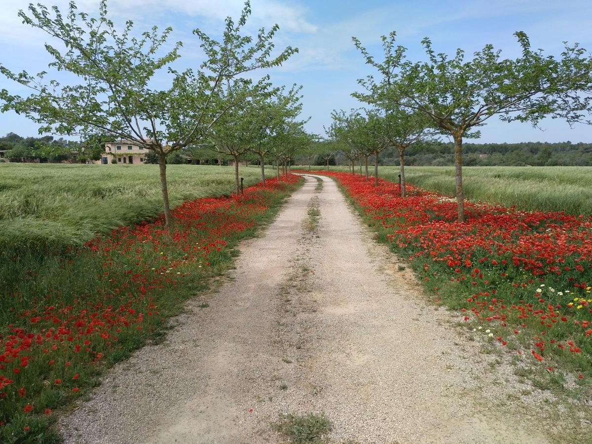 Finca Agroturismo Sa Cova Den Borino กัมโปส ภายนอก รูปภาพ