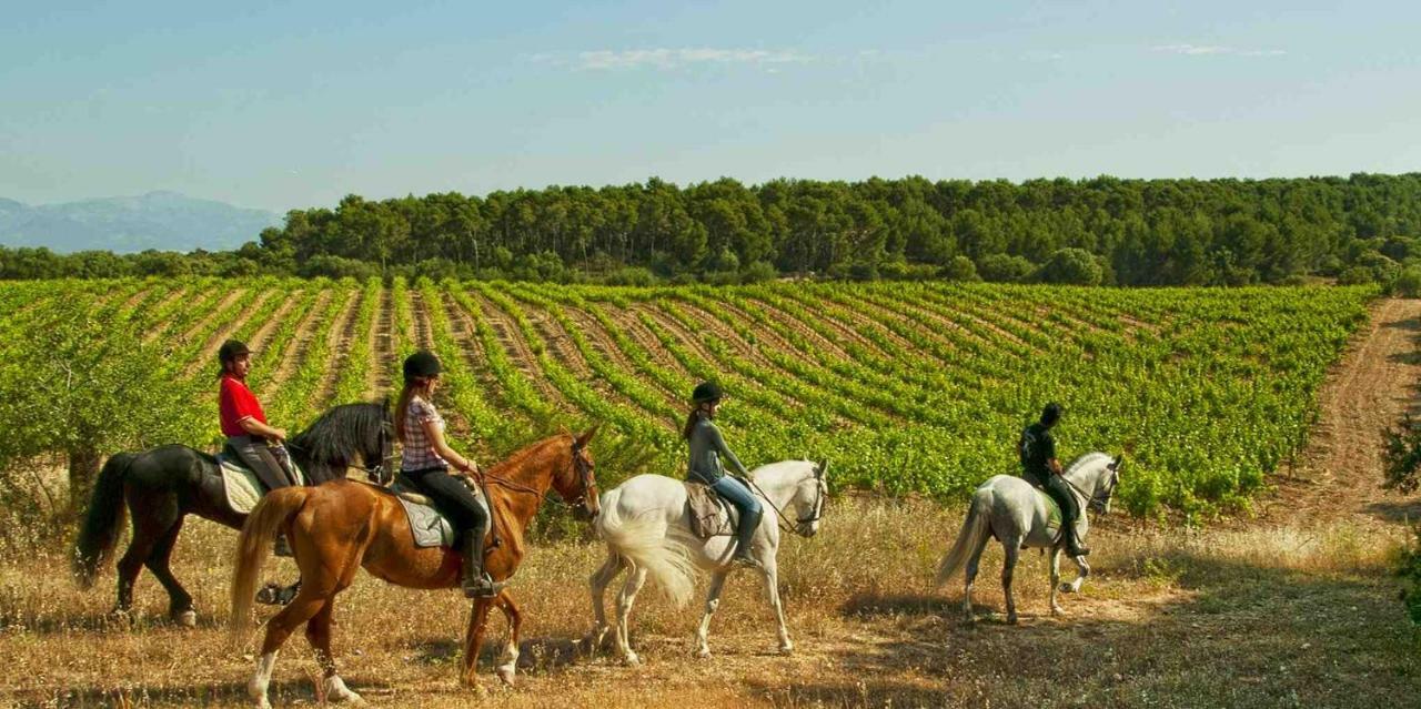Finca Agroturismo Sa Cova Den Borino กัมโปส ภายนอก รูปภาพ