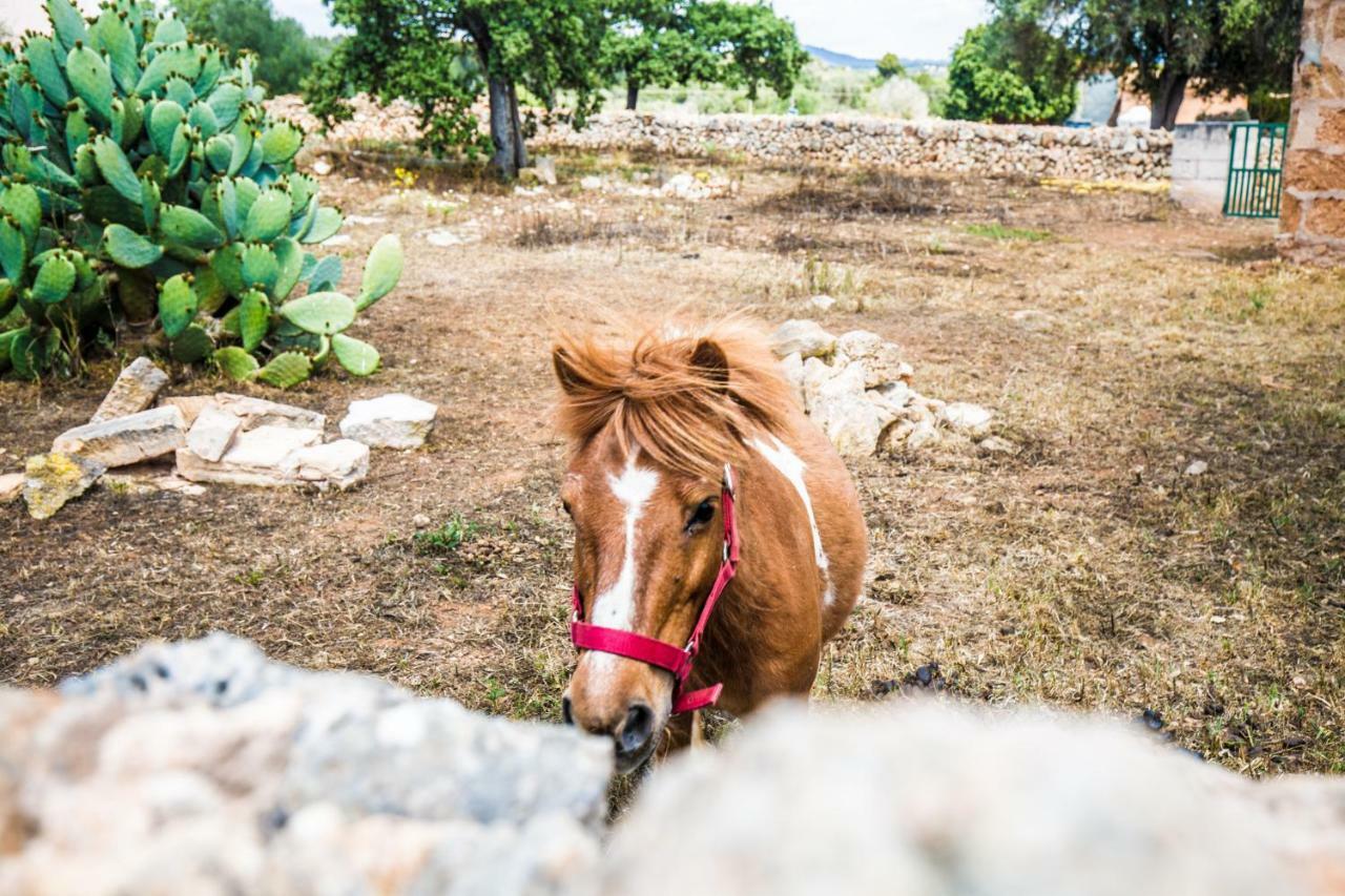 Finca Agroturismo Sa Cova Den Borino กัมโปส ภายนอก รูปภาพ